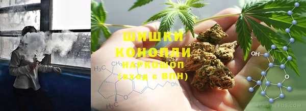 ПСИЛОЦИБИНОВЫЕ ГРИБЫ Богородицк